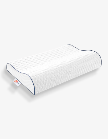 VISCO NACKENSTÜTZKISSEN 2.0 60*40*10/8 CM