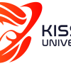 Kissen Universum